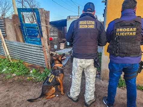 Desarticularon Una Banda Narco En Mar Del Plata Y Detuvieron A Siete De