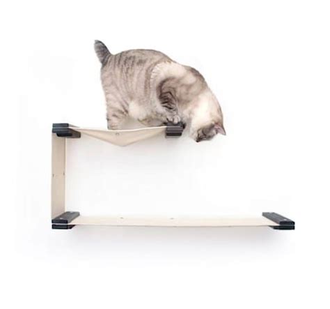 Catastrophicreations The Cat Mod Double Decker Hammocks For Cats In