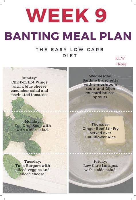 Week 9 Banting Meal Plan The Easy Low Carb Diet Meal Planning Banting Diet Low Carb Diet