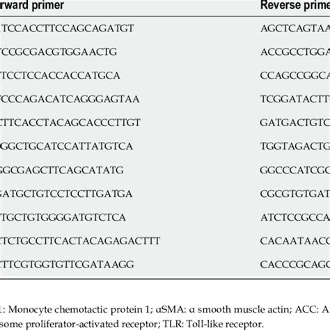 Primer Sequences For The Targeted Mouse Genes Download Scientific Diagram