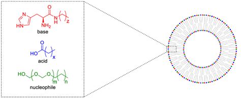 A catalytic triad formed from the self-assembly of amphiphilic ligands ...