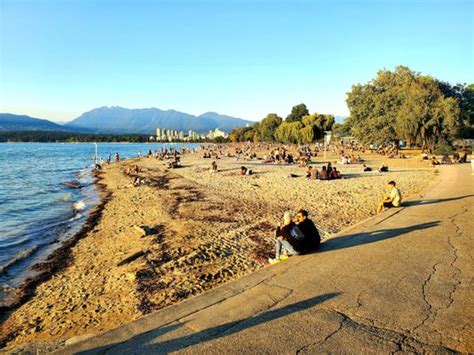 KITSILANO BEACH PARK - 184 Photos & 69 Reviews - 1499 Arbutus Street ...