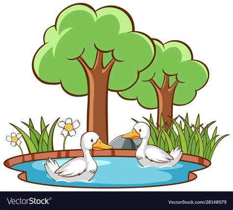 Ducks Clipart Pond Clipart Duck Drawing Png Download | Sexiz Pix