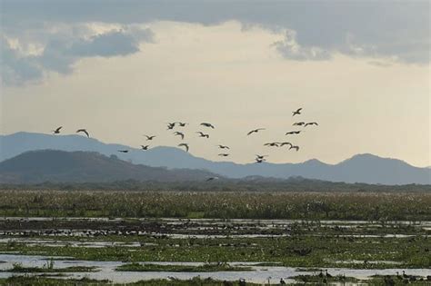 Palo Verde National Park: Costa Rica's Biodiversity Haven | LAC Geo