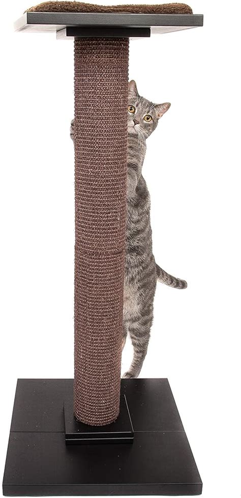 Ultimate Cat Scratching Post Modern Cat Tree Tall Cat Tree For Full