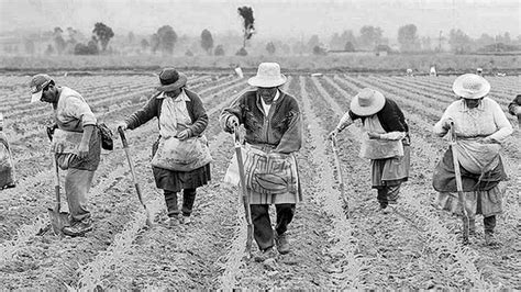 La Agricultura Campesina Produce El 70 De Los Alimentos Con El 25 De