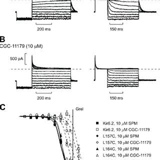 Blockade Of Kir6 2 N160D C166S Channels By Spermine And CGC 11179