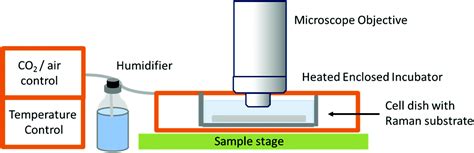 Raman Spectroscopy An Evolving Technique For Live Cell Studies