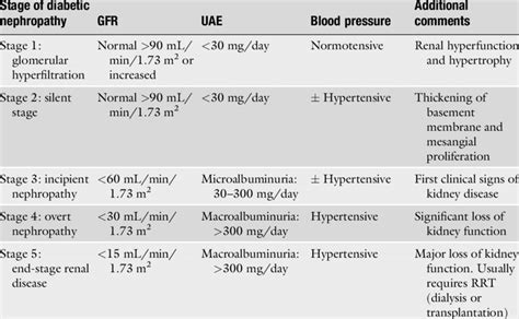 Clinical description of current stages of diabetic nephropathy ...