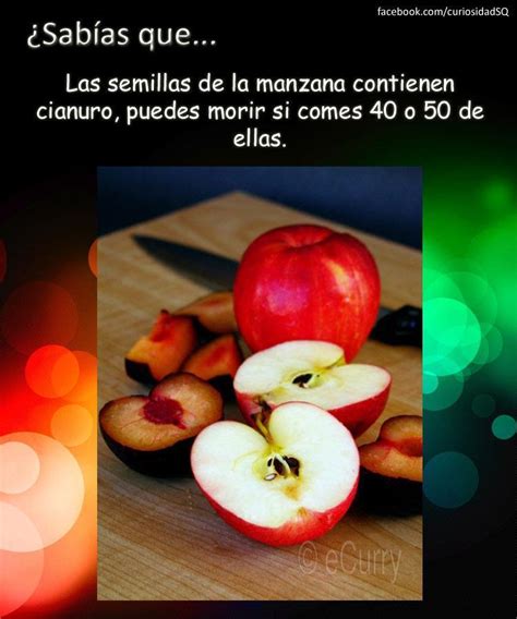 Lista Foto Que Contiene La Semilla De La Manzana Actualizar