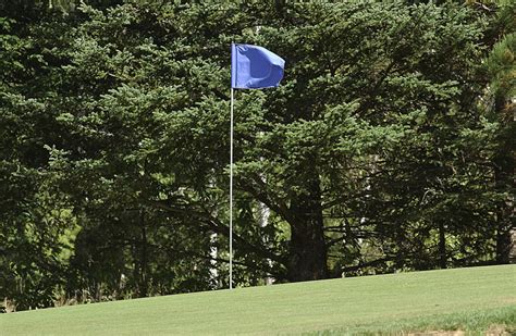 Flag in golf course hole Free Photo Download | FreeImages