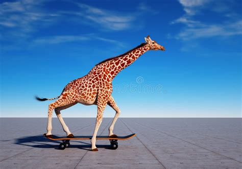 Giraffe On Skateboard Impossible And Happiness Concept Stock