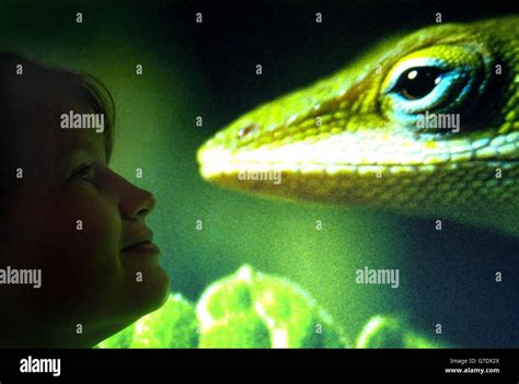 Wildlife Photographer of the Year Competition Stock Photo - Alamy