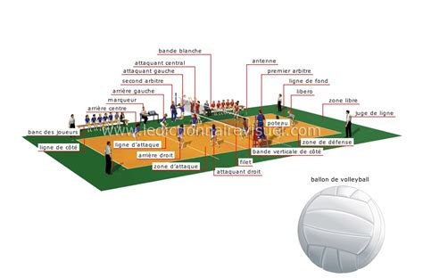 Sports Et Jeux Sports De Balle Et De Ballon Volleyball Terrain