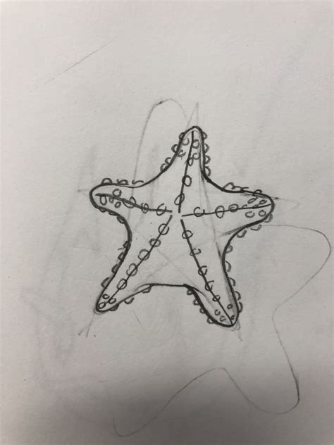 drawing of starfish 7