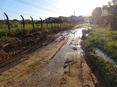 Prefeitura De Palmeira Conclui Obras De Drenagem E Pavimenta O De Ruas