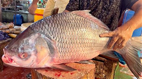 Incredible 12Kg Giant Katla Fish Cutting Live In Fish Market Fish