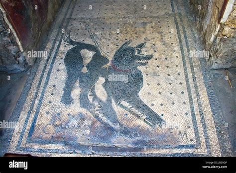 Cave Canem Beware of dog mosaic in Pompeii, Italy Stock Photo - Alamy