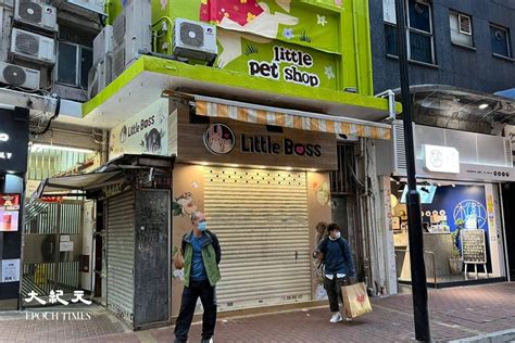 寵物店倉鼠驗出陽性 梁肇輝：全港寵物店倉鼠要「人道處理」｜大紀元時報 香港｜獨立敢言的良心媒體