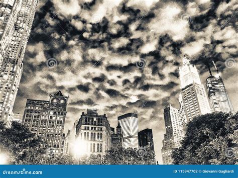 Amazing Night View Of New York Skyscrapers And Trees From City P Stock