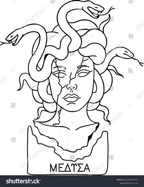 Vector De Escultura De Medusa Dibujo Vector De Stock Libre De