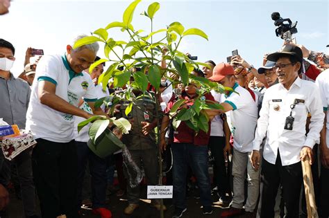 Peringati Hari Bumi Ganjar Ajak Masyarakat Tanam Pohon Di Lokasi Bekas