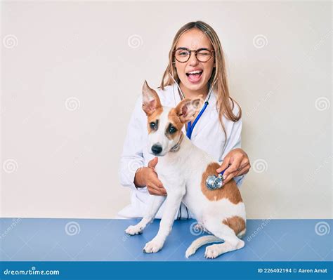 Young Beautiful Blonde Veterinarian Woman Checking Dog Health Using