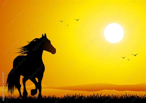 Wild horse at sunset Stock Vector | Adobe Stock