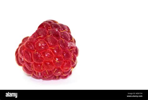 Lampone rosso immagini e fotografie stock ad alta risoluzione - Alamy