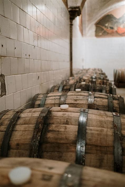 Wooden Barrels in a Storage · Free Stock Photo