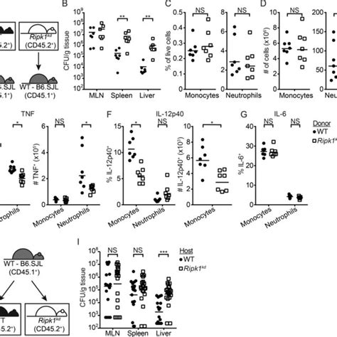 Ripk1 Is A Cell Extrinsic Regulator Of In Vivo Cytokine Production A