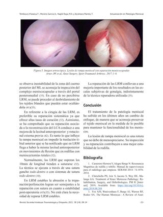 Revista Sato Actualizaci N En Patolog A Meniscal Pdf