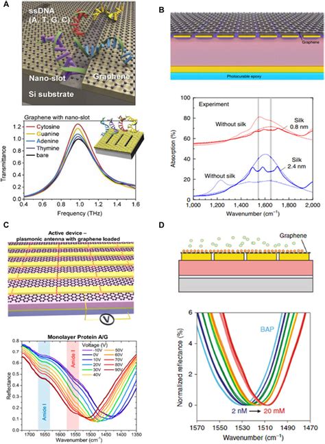 2D Material Combined Metasurface Sensor A DNA Adsorption On The