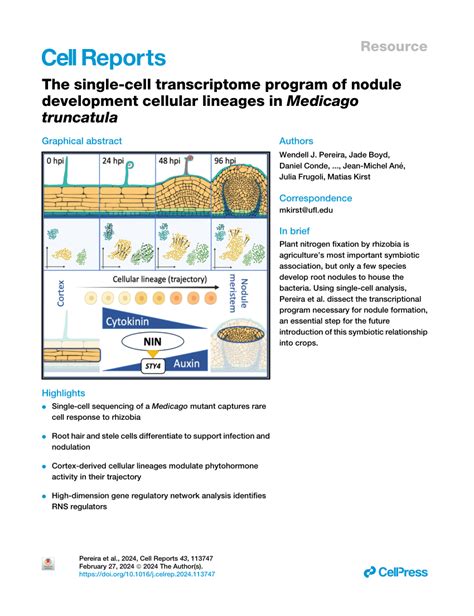 Pdf The Single Cell Transcriptome Program Of Nodule Development