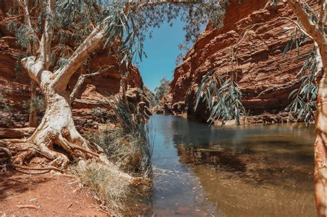 Les 15 Plus Beaux Parcs Nationaux D Australie Guide Complet