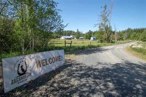 ‘social Living For Dogs Couple Settles In Lewis County To Open New