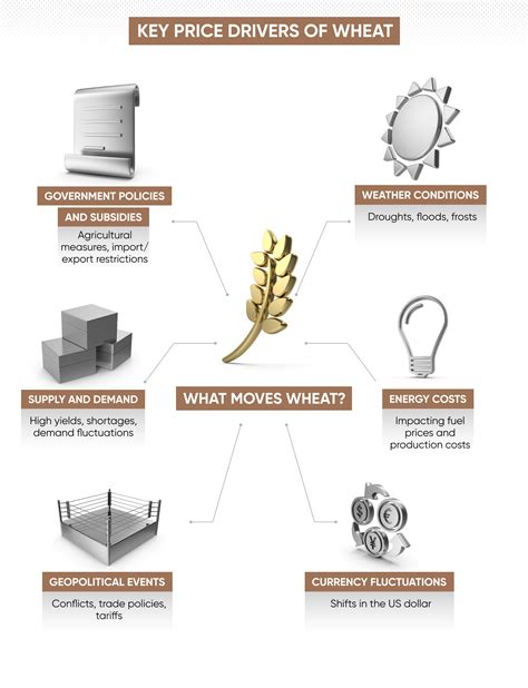 How to trade wheat | Capital.com