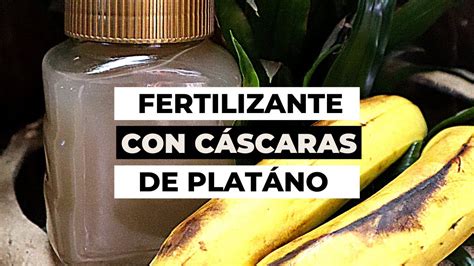 Fertilizante para plantas de cáscaras de plátano Menos Desperdicio