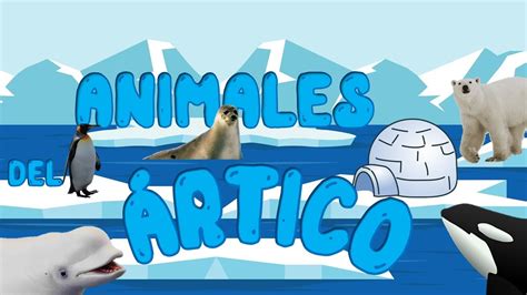 Animales del Ártico | Animales polares | Videos educativos | LeoFunTv ...