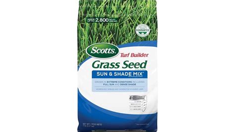 15 Best Grass Seed Varieties For A Lush And Vibrant Lawn Fatsil