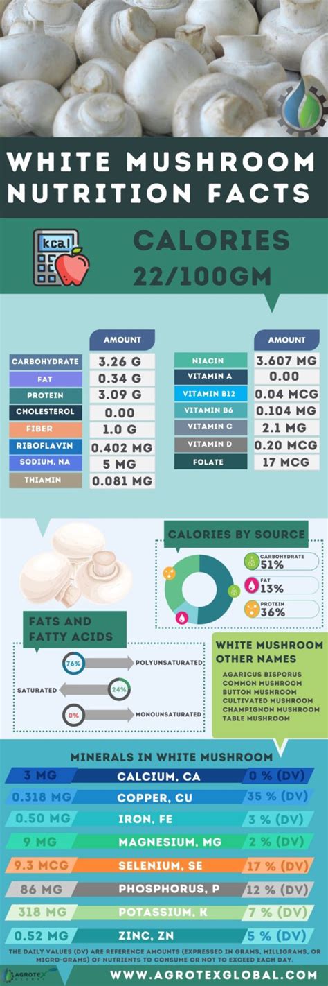 White Mushroom / Button mushroom