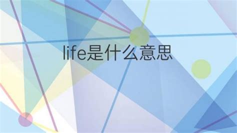 Life是什么意思 Life的翻译、中文解释 下午有课