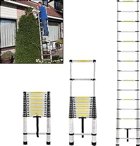 Lars360 Échelle télescopique multifonction extensible échelle simple