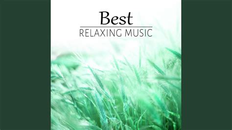 Healing Sleep Music - YouTube Music