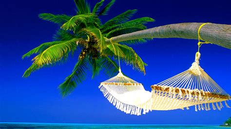 🔥 Download White Hammock Landscape Hammocks Palm Trees Tropical Sea By