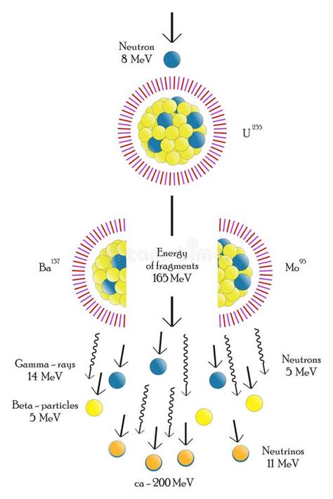 Infografik Zur Kernspaltung Mit Aufprallangriff Auf Das Uranatom Das