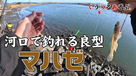 【河口のハゼ釣り】有明海に生息する最大60cmにもなる化け物ハゼを狙って河口でハゼ釣りしたら良型のマハゼが連発！ Youtube