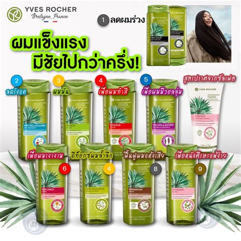 ชมพ ครมนวด Yves Rocher anti hair loss gentle purify Anti Dandruff