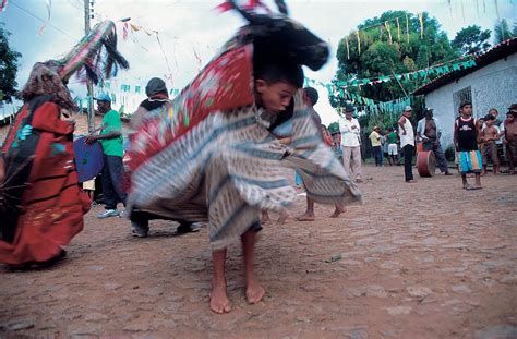 Ltimos Dias Para Conferir Exposi O Sobre Bumba Meu Boi No Museu Do Pontal