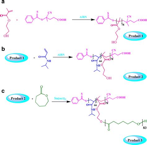 Synthesis Root Of The Poly 2 Hydroxyethyl Methacrylate PHEMA By